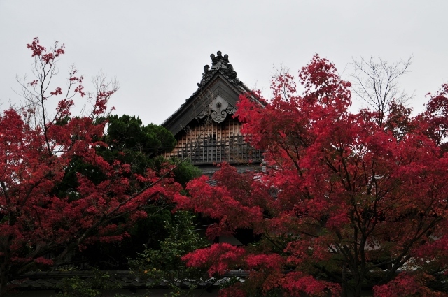 京都・真如堂