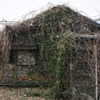 廃墟