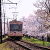 桜のトンネル