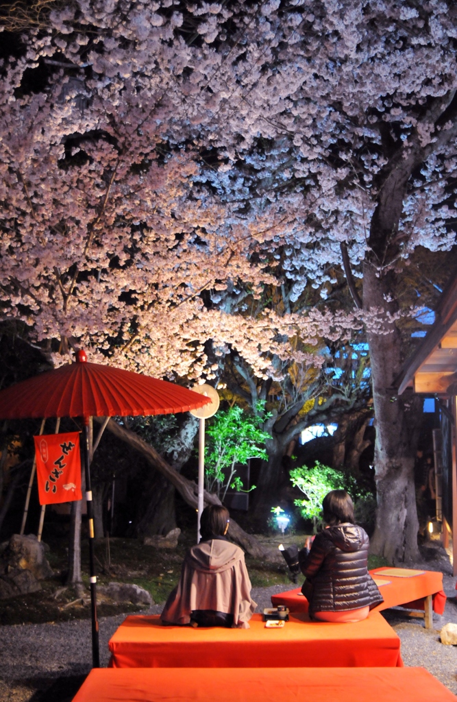 桜と日本人