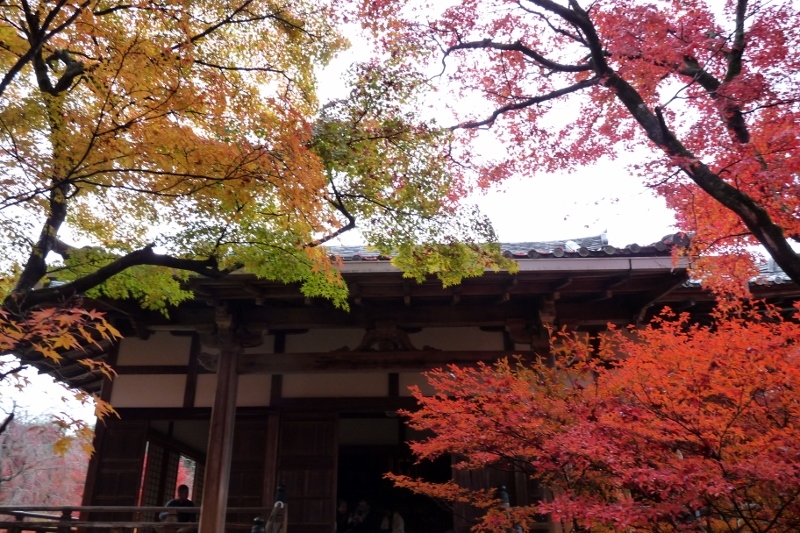 京都・宝匡院