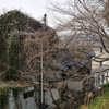 廃墟