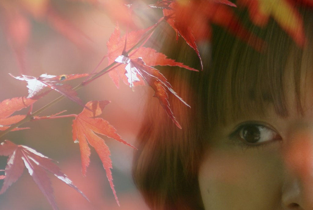 紅葉と女性