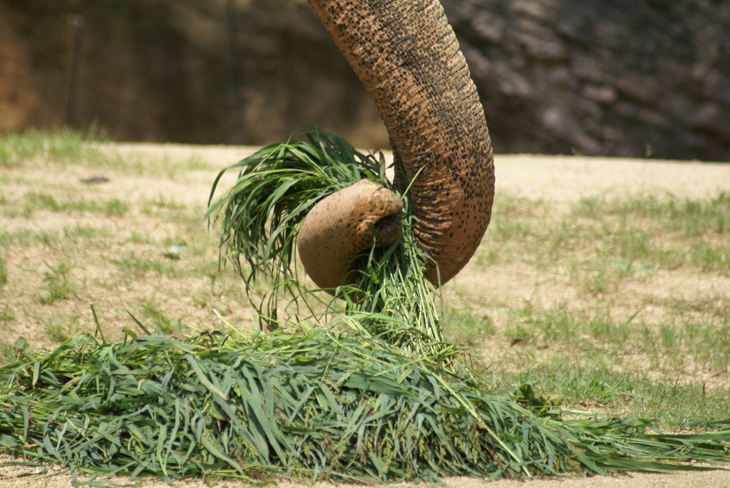 動物園