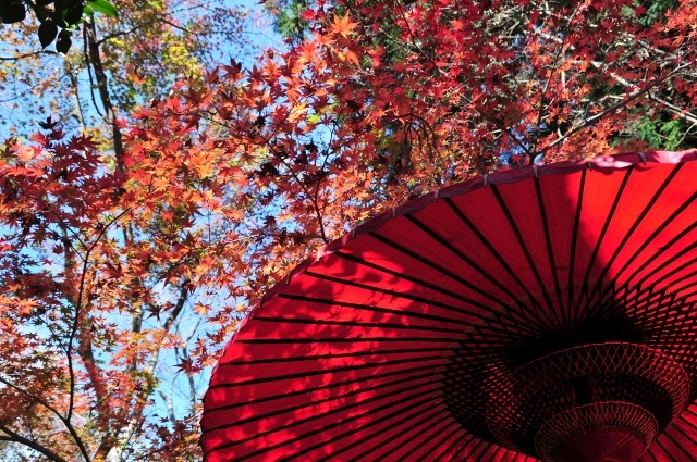 有馬・瑞宝寺公園