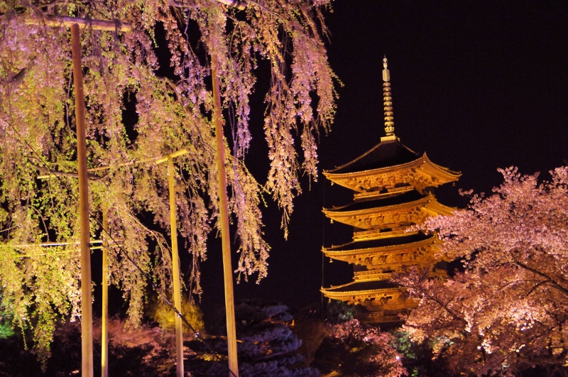 東寺ライトアップ