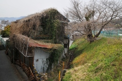 廃墟