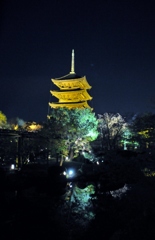 東寺ライトアップ