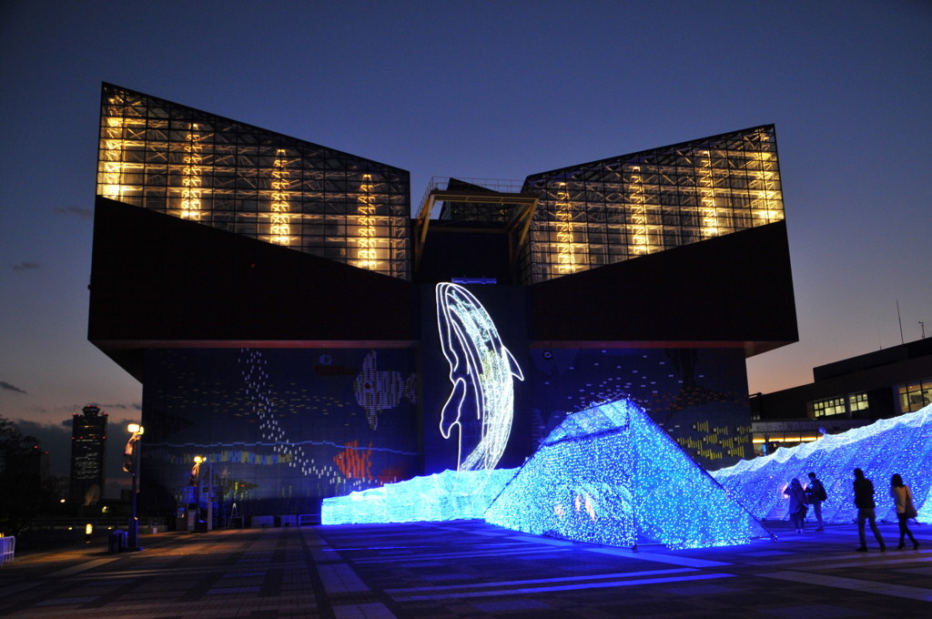 ちきゅうたいかんイルミネーション