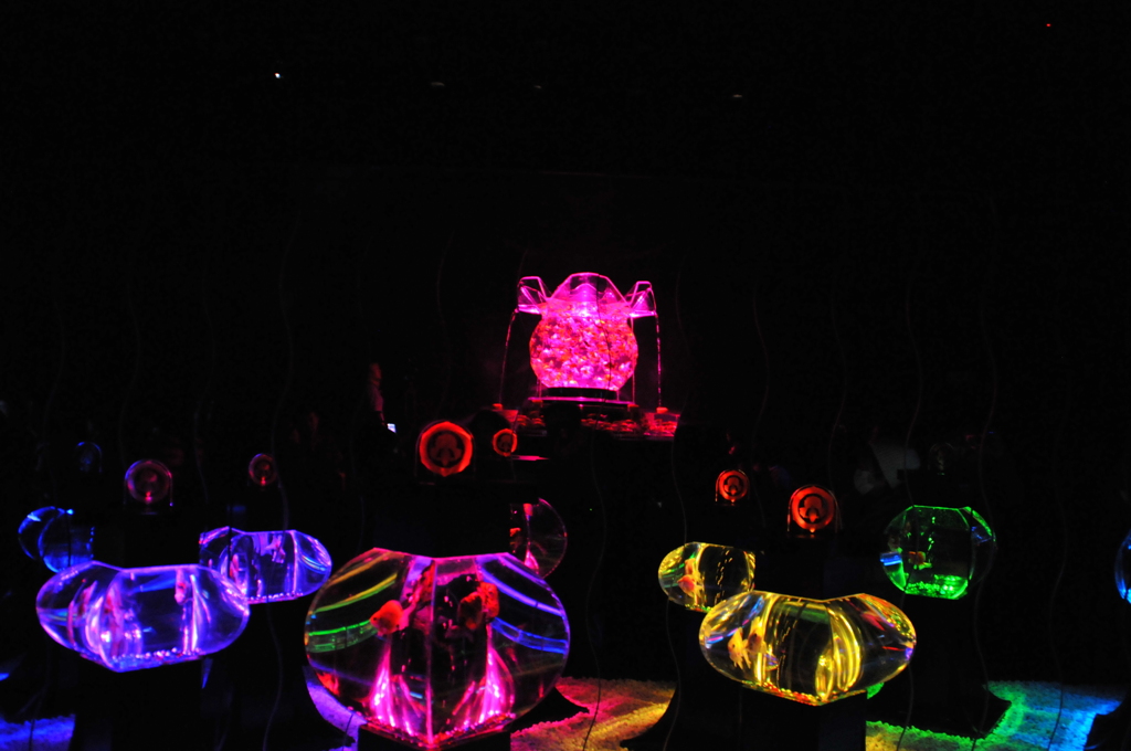 アートアクアリウム展