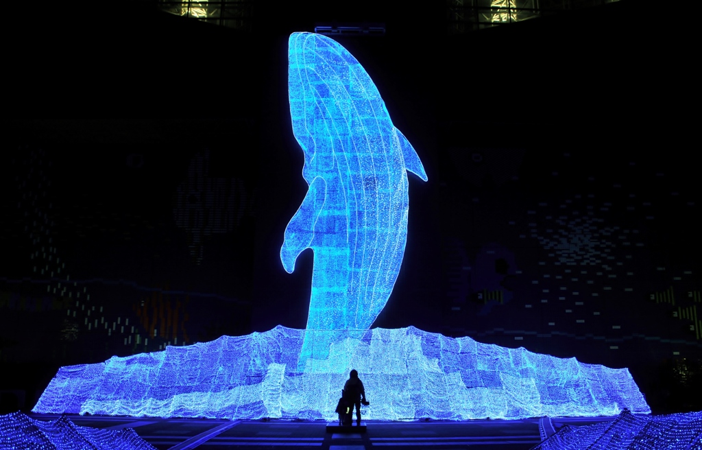 ちきゅうたいかんイルミネーション