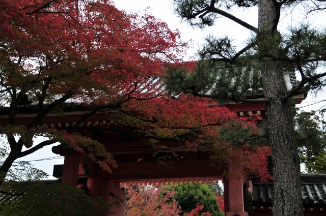 京都・真如堂