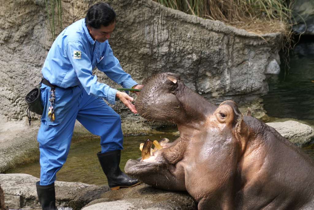 動物園