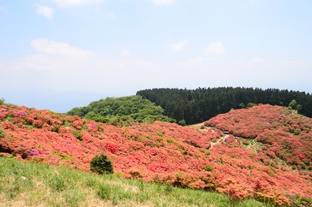 葛城山