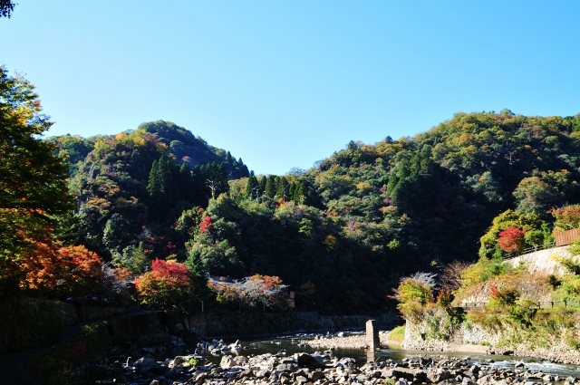 武田尾の紅葉