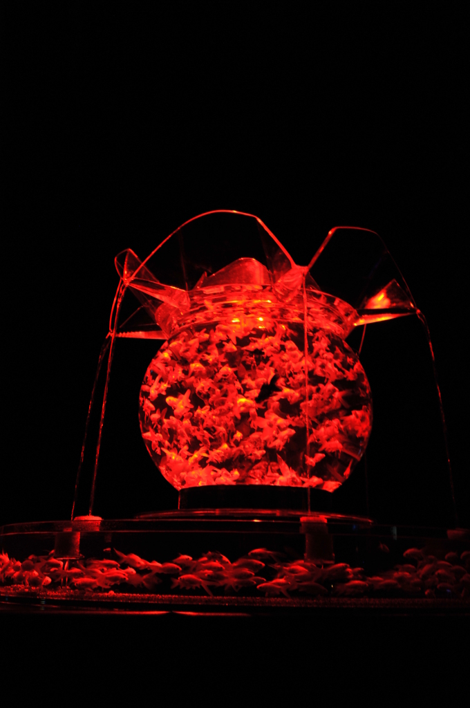 アートアクアリウム展