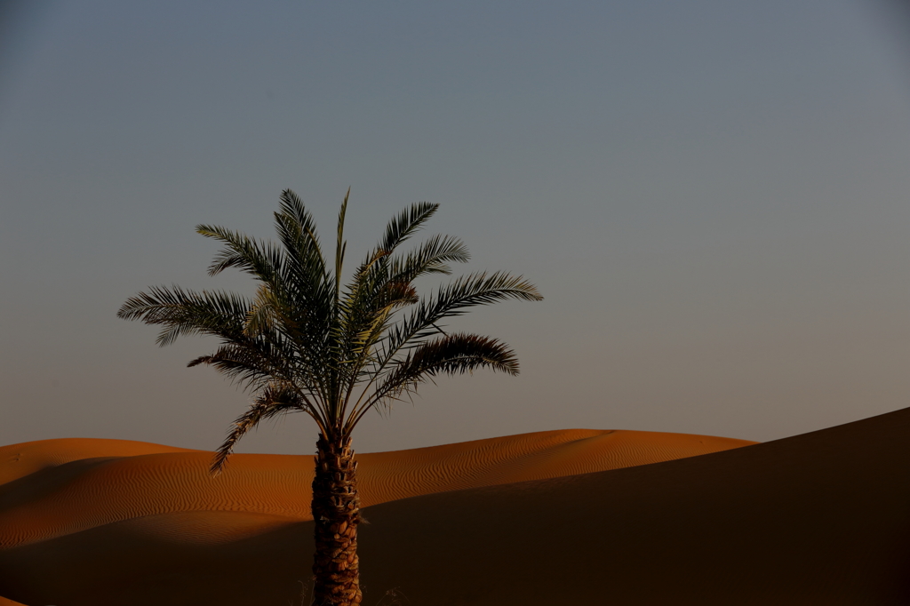 Desert Resort 2012 Summer_13