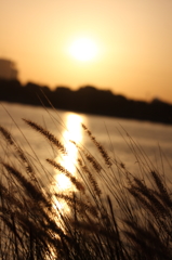 Creek in Dubai 2