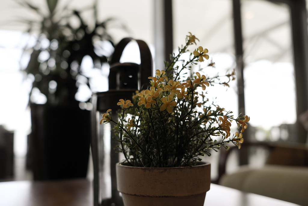 ピザ屋のお花