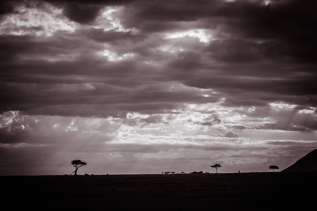 Africa 2010 (2)　サバンナ夕景