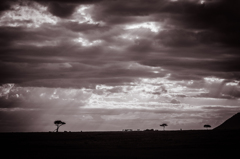 Africa 2010 (2)　サバンナ夕景