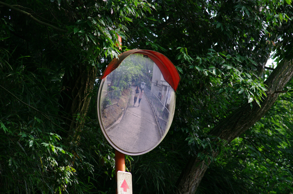 散歩日和（梅雨の晴れ間）