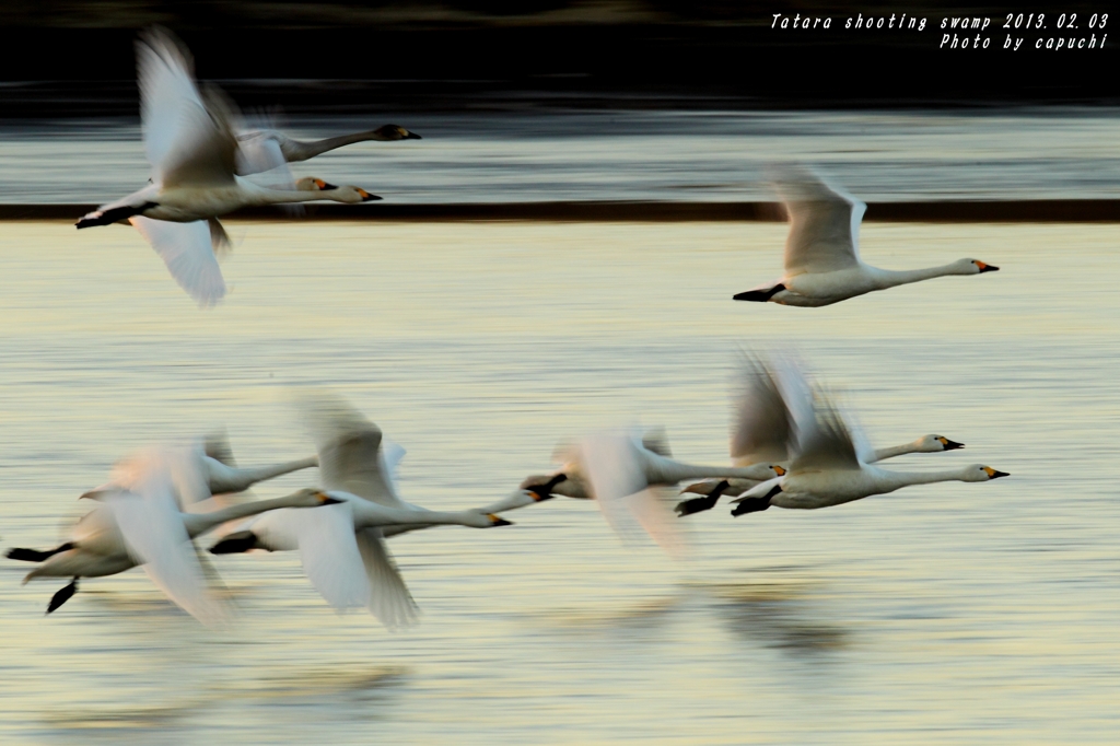 vuelo