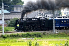 C61