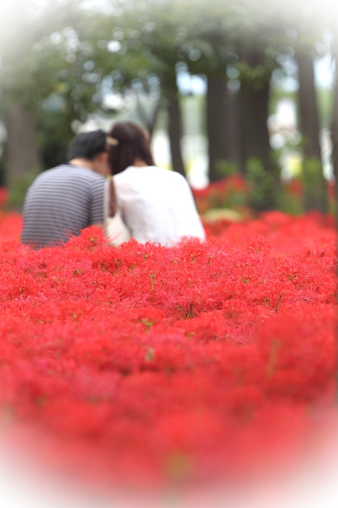 LOVE・・・
