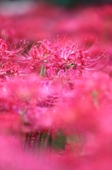 赤・赤・赤・・・・・