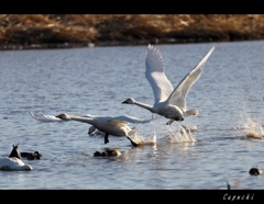 Takeoff