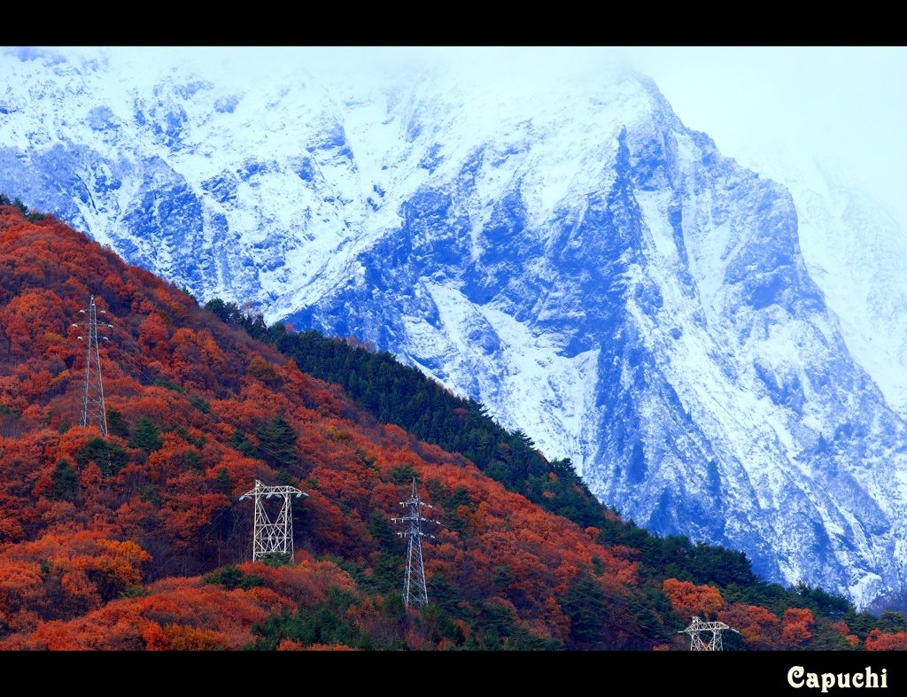 紅葉と雪山