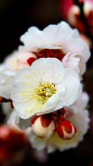 4_H_5812-1