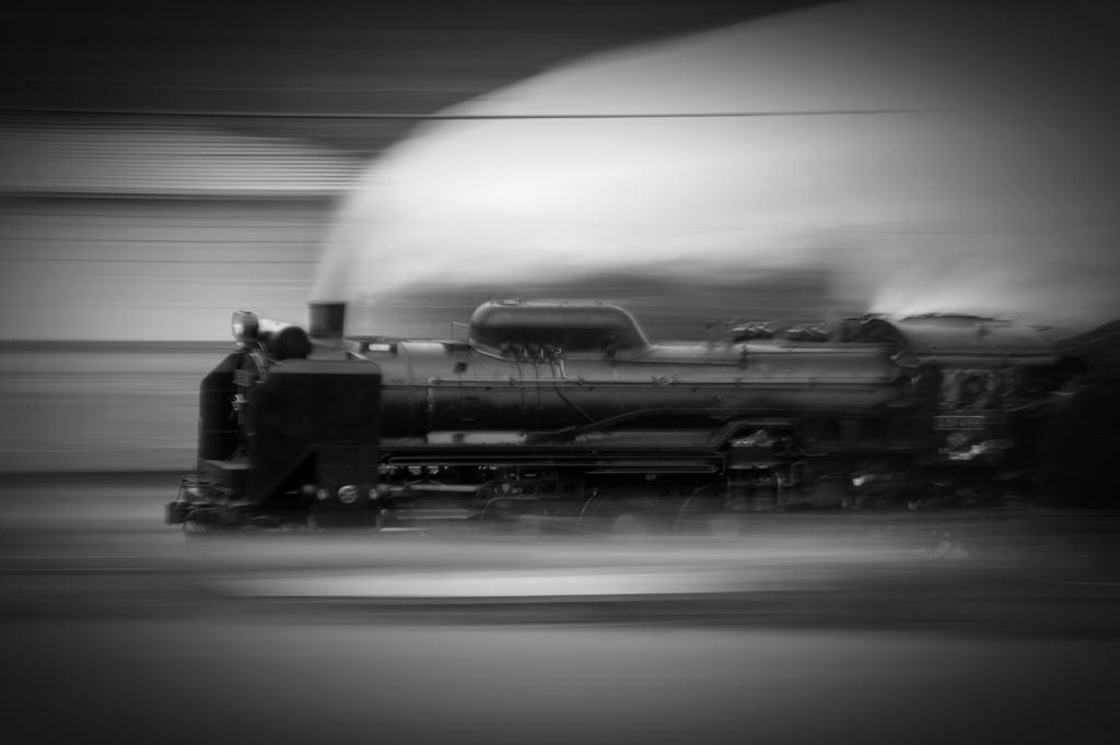 D51