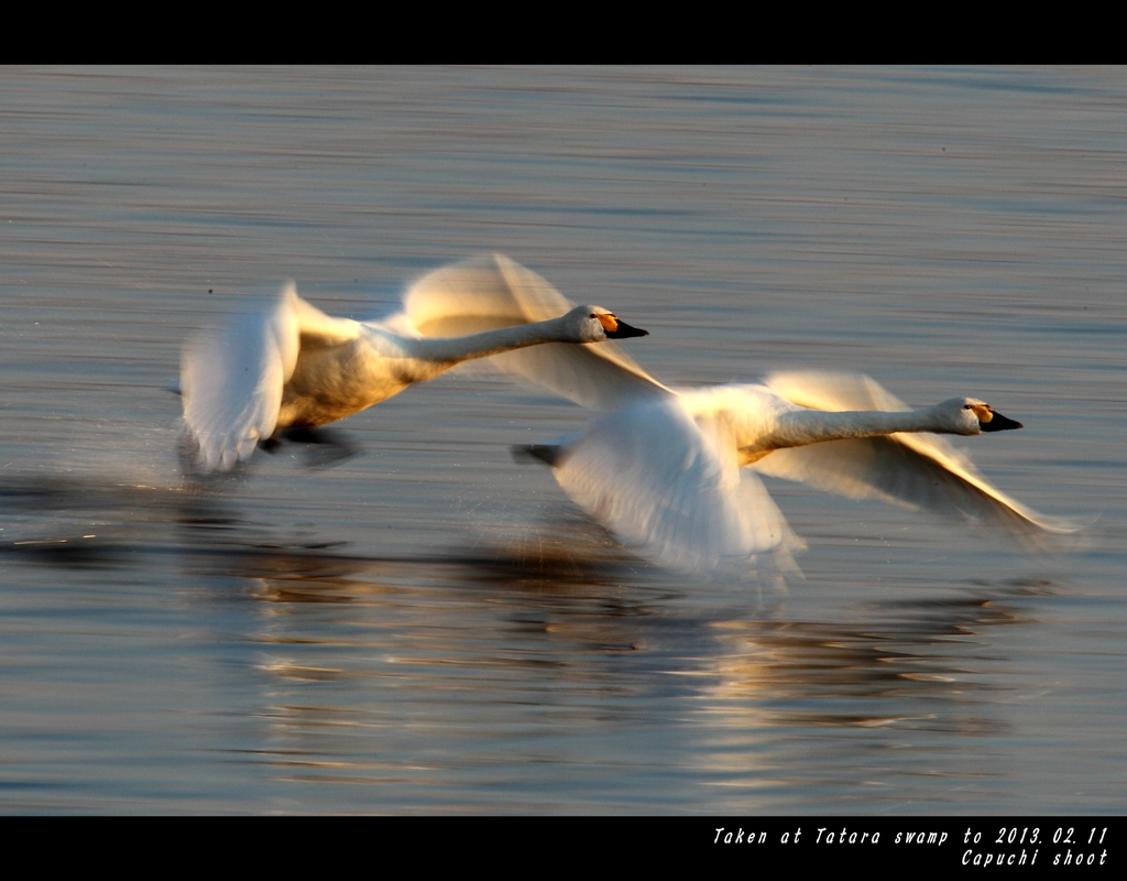 Synchro