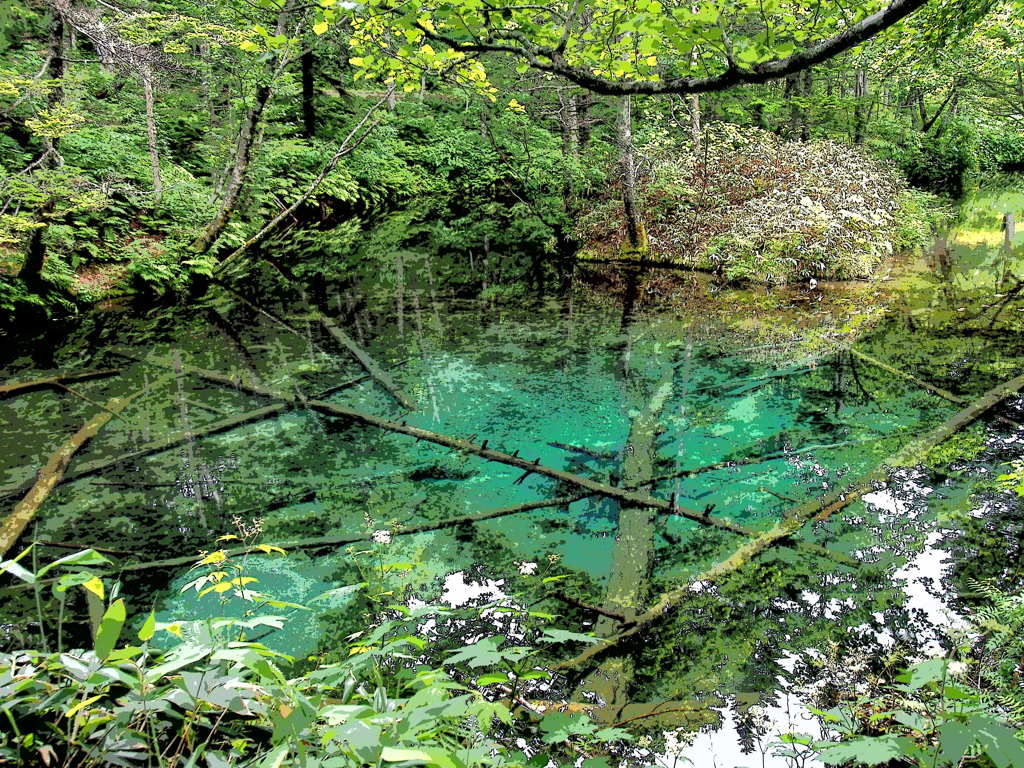 北海道清里町　神の子池