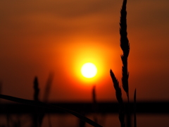 釧路　夕焼け　2012/06/15