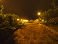 練習練習（夜景）