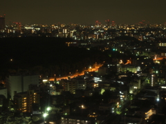 新宿夜景（E-PL1s）
