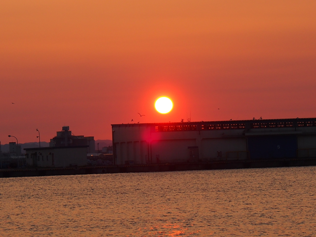 釧路港　夕日　2012/06/25
