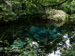 北海道清里町　神の子池