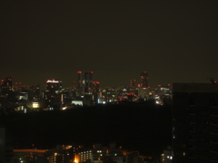 新宿夜景（E-PL1s）
