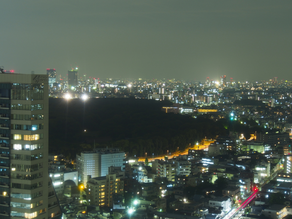 ホテルから新宿夜景