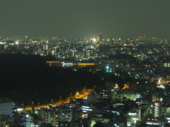 ホテルから新宿夜景