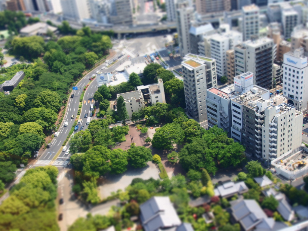 東京タワーから　