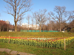 釧路市鶴ケ岱公園③