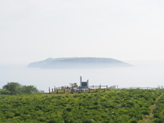 厚岸　あやめヶ原