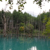 美瑛町　青い池　E-PM1