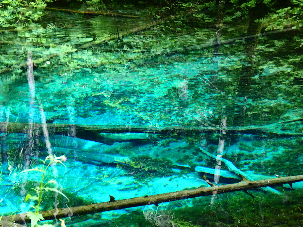 北海道清里町　神の子池
