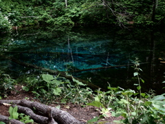 北海道清里町　神の子池